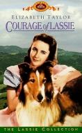 Courage of Lassie, Courage of Lassie