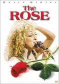 , The Rose