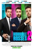   2, Horrible Bosses 2
