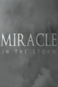   , Miracle in the Storm - , ,  - Cinefish.bg