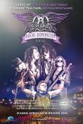 Aerosmith Rocks Donington 2014, Aerosmith Rocks Donington 2014