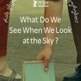  ,   ?, What Do We See When We Look at the Sky? - , ,  - Cinefish.bg
