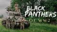      , Black Panthers of WW2 - , ,  - Cinefish.bg