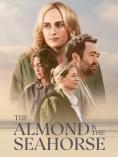    , The Almond and the Seahorse